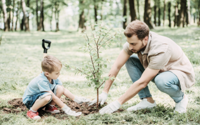 Planting the Seeds